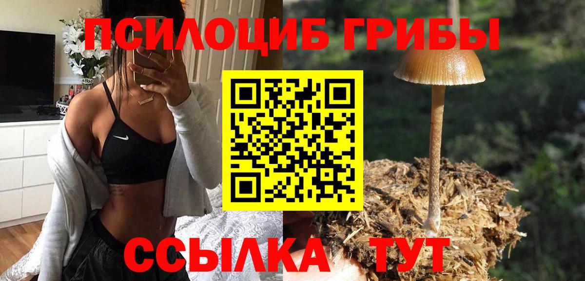Галлюциногенные грибы Psilocybe Фрязино