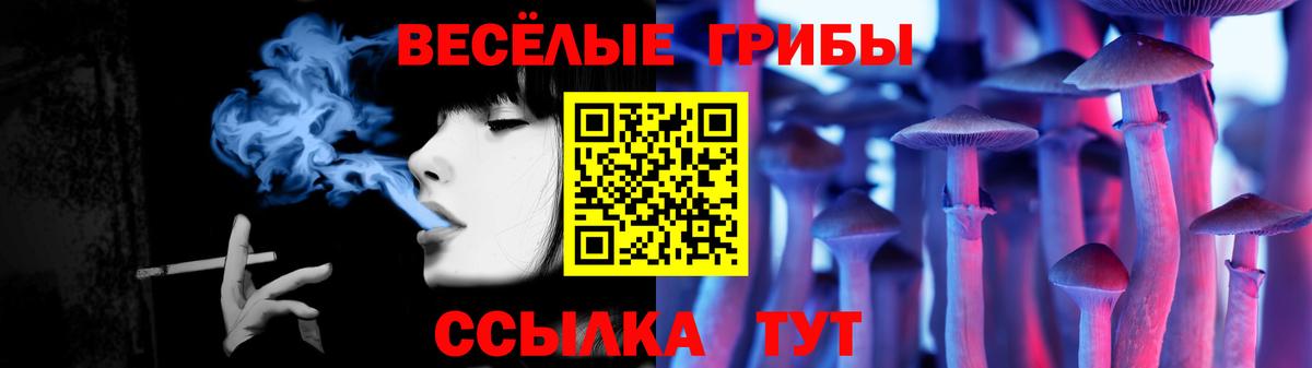 купить   Вход с VPN  Фрязино  Псилоцибиновые грибы мухоморы 
